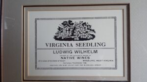 Vineyard Hills Label